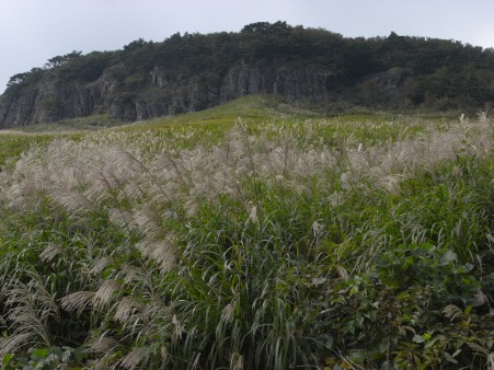 R0021320.JPG