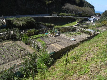 断崖日和山まで09.JPG