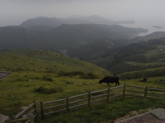 赤はげ山から